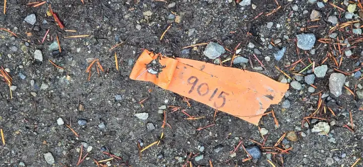 Southwest corner of the lot at the corner of SW 204th Street and Westside Hwy. The lot is 300 feet wide x 300 feet deep (perfect square that is 2.07 acres).  Gorgeous fully wooded lot that provides privacy and natural beauty. Southeast corner of the lot (Note 2x6 on the ground. This will be placed with a ground stake painted orange). Southeast corner of. The lot is 300 feet wide x 300 feet deep (perfect square that is 2.07 acres). Gorgeous fully wooded lot that provides privacy and natural beauty. 2nd lot is adjacent to this lot which has had a CAD completed on it.