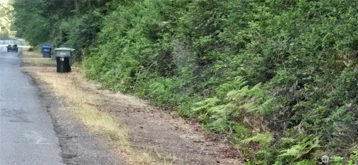 Northwest corner of the property on Westside Hwy (Note small flag in left hand corner of the picture and look at the sign in the right corner where SW 204th Street is the other corner). The lot is 300 feet wide x 300 feet deep (perfect square that is 2.07 acres). Gorgeous fully wooded lot that provides privacy and natural beauty.Southeast corner of the lot (Note 2x6 on the ground. This will be placed with a ground stake painted orange). Southeast corner of. The lot is 300 feet wide x 300 feet deep (perfect square that is 2.07 acres). Gorgeous fully wooded lot that provides privacy and natural beauty. 2nd lot is adjacent to this lot which has had a CAD completed on it.