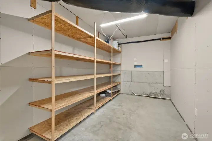 One of two of the additional storage rooms located in the basement. It's been used for storage. The room has its own door and light switch.