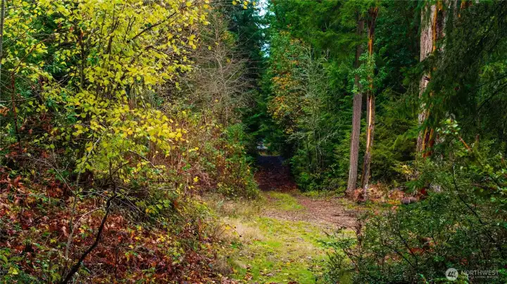 Potential access from Maple Ave.