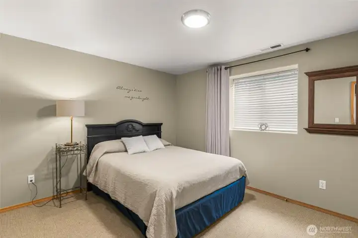 Lower Level bonus Room