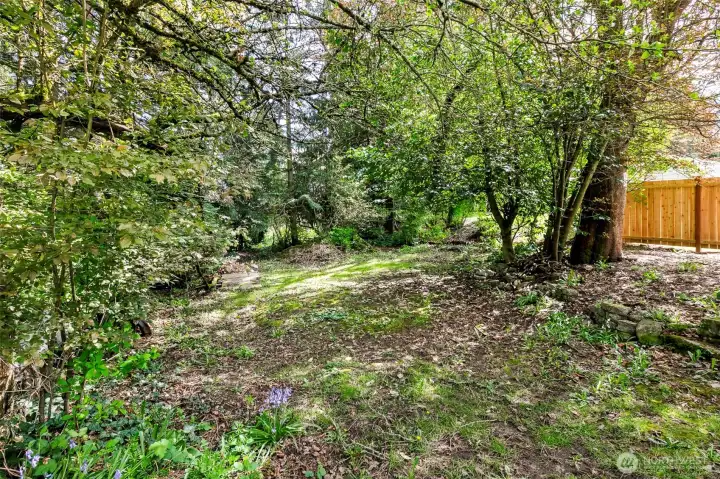 Beautiful trees & bushes frame the property, still light & bright back yard, full of potential