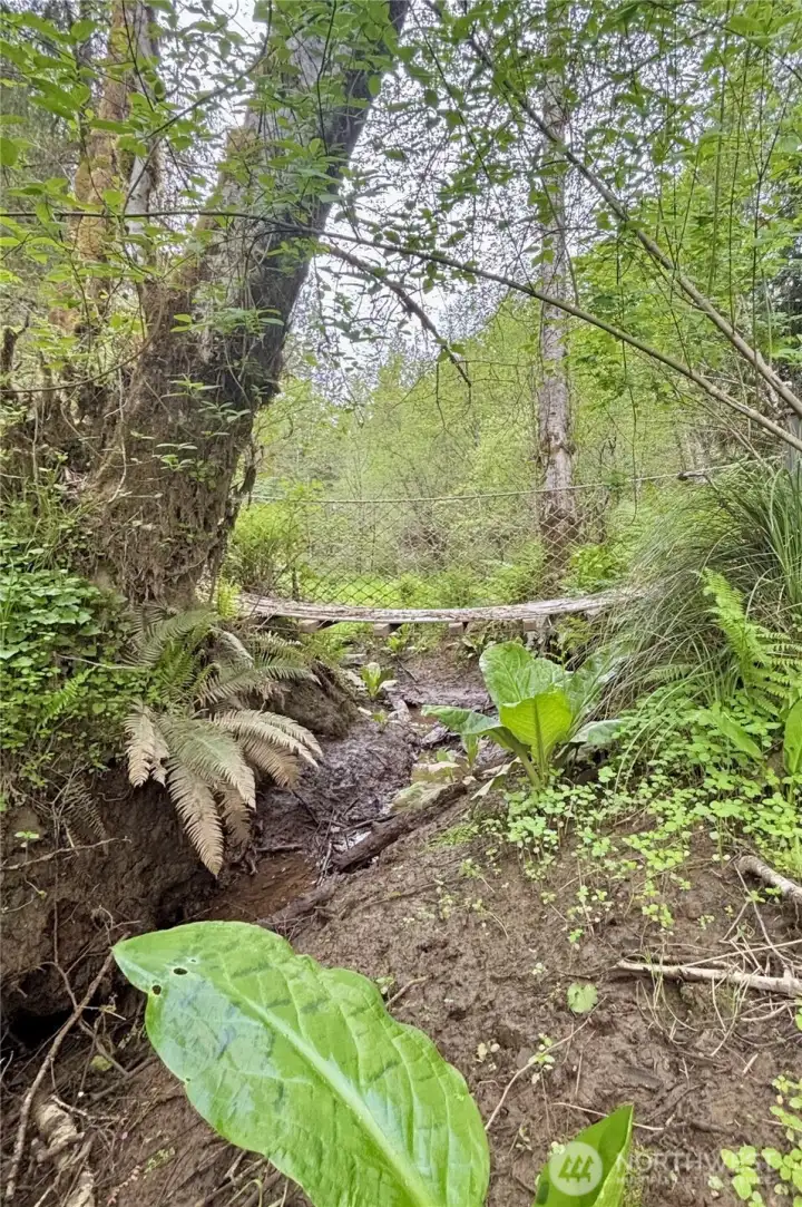 Bridge over creek