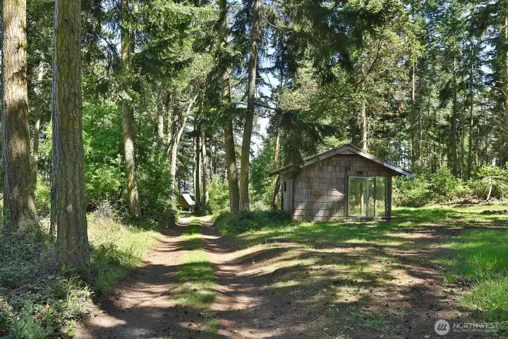 This is the drive in, tree-lined. So much privacy and space here. This sweet outbuilding is ready for a new vision. Great camping spot here. Drive slowly and you will notice the madrone trees that live on this land.