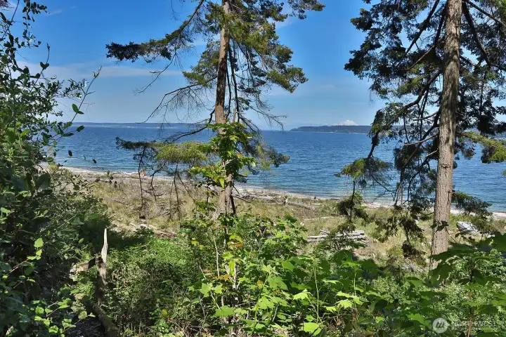 Almost to the beach. Snow capped Mount Baker off in the distance. Breathe in the sea air and relax to the constant rhythm of the waves.