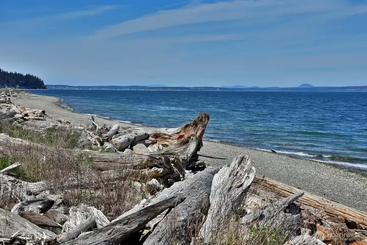 Keep your kayaks or fishing dingy here. Enjoy exploring the beach and enjoy the nature and abundance of wildlife that makes the Puget Sound it's home.