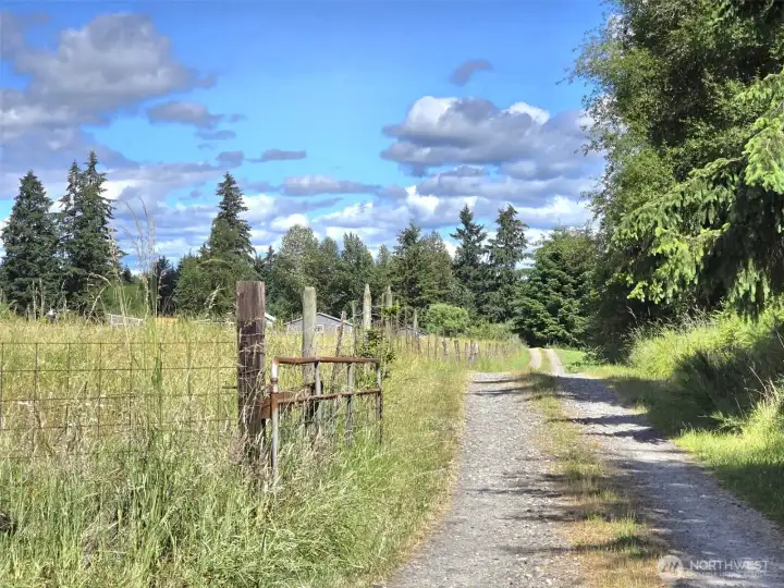 coming up the driveway