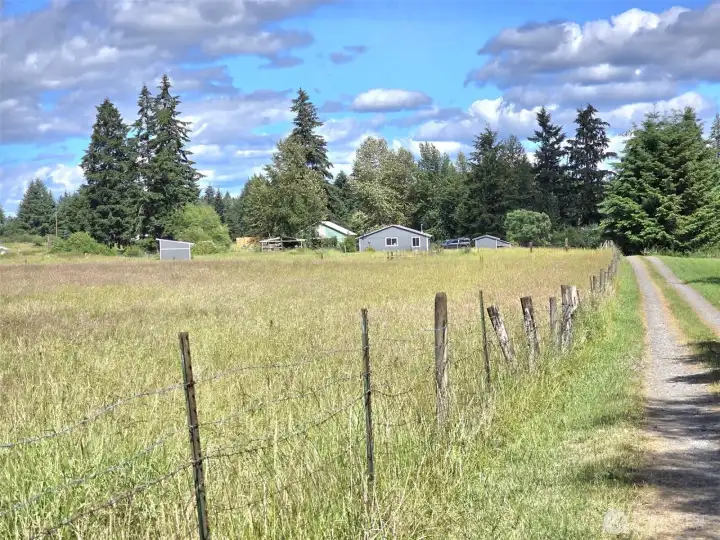 view from Fillman Rd