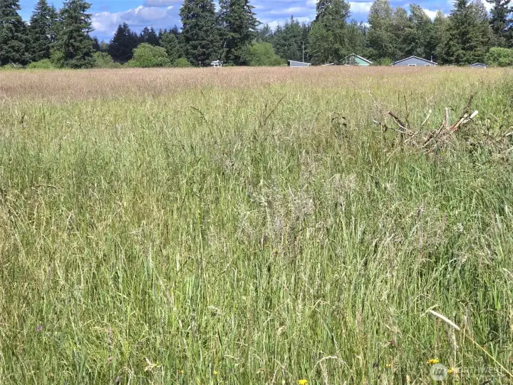open prairie