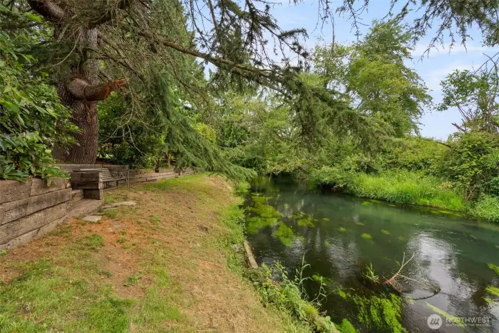 Creek bank Creek bank
