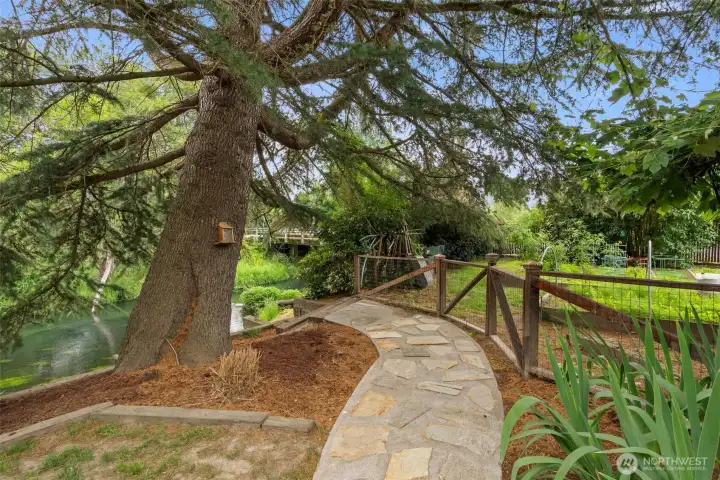 Charming path down to the creekside Charming path down to the creekside