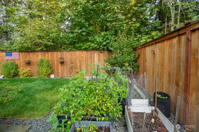 Raised garden beds for veggies.