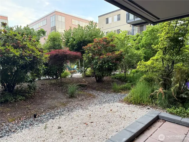 Summer Garden View