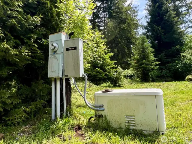 Auto wired generator