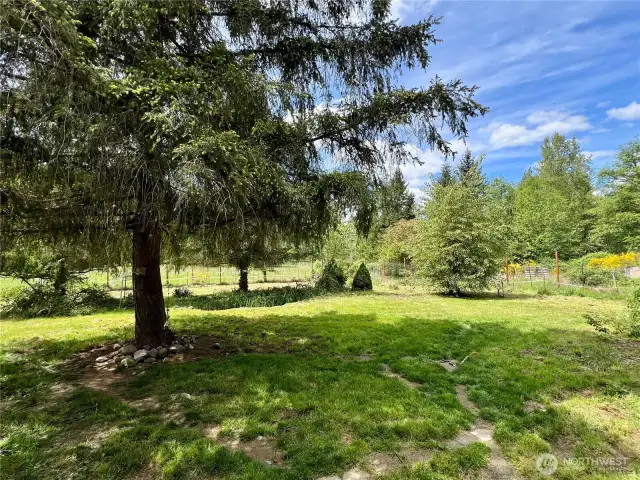 This photo captures the peaceful view from the front patio, looking out over the property’s expansive acreage with serval fruit and nut trees. Imagine sipping your morning coffee while taking in the open space, mature trees, and natural beauty right from your doorstep.
