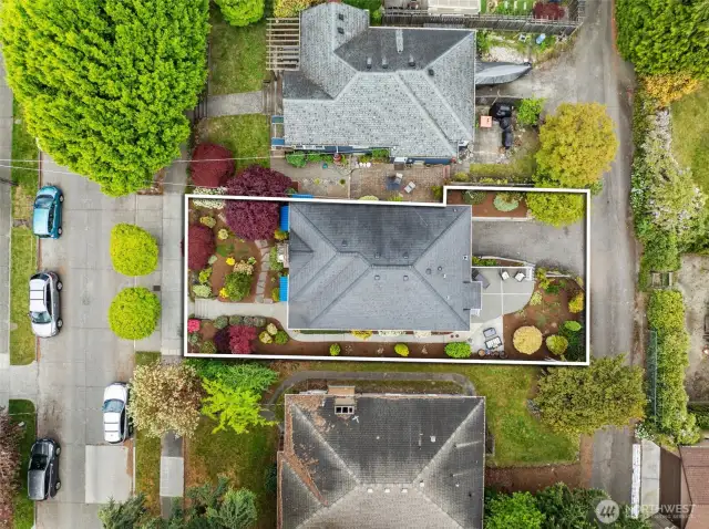 Lovely quiet tree lined street, alley access for garage & parking