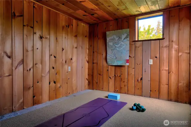 Quasi finished flex space in the lower level plus adjacent room with storage and laundry area.