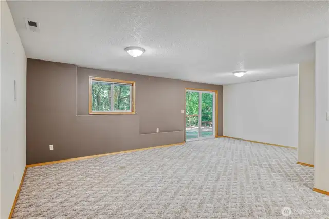 Downstairs Family Rm