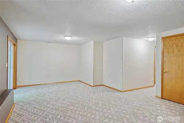 Downstairs Family Rm