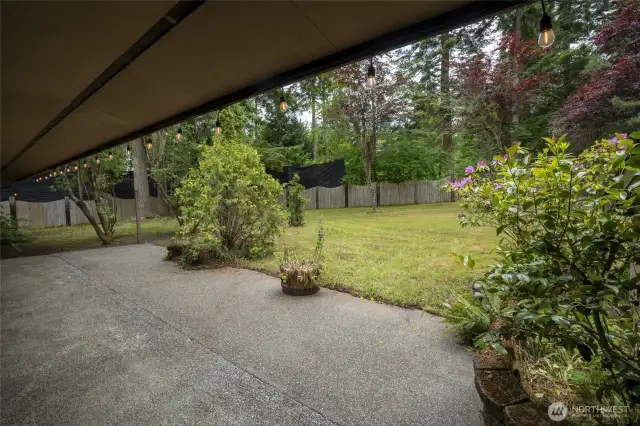 Park like backyard