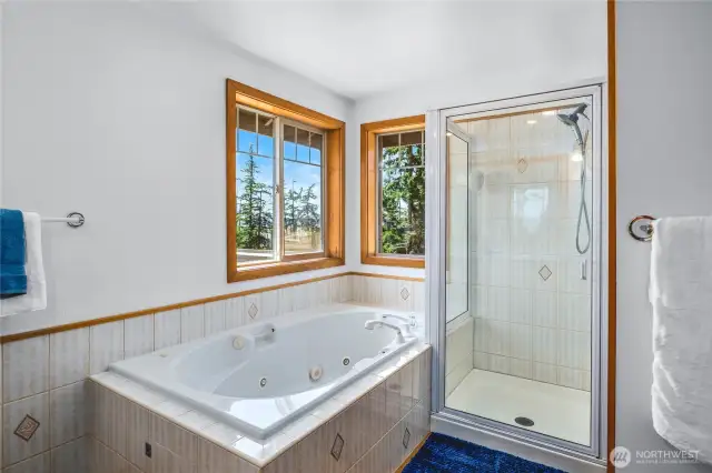 Soaking tub with step in shower off the primary bedroom.