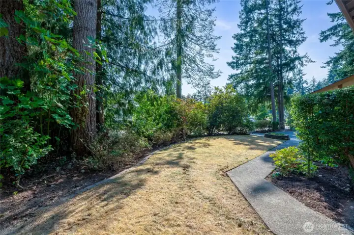 View of the front yard. Plants and trees separate the front yard from the street.