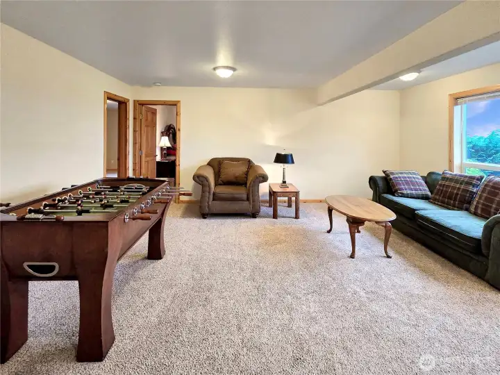 Lower level: Family room or rec room or media roo.
