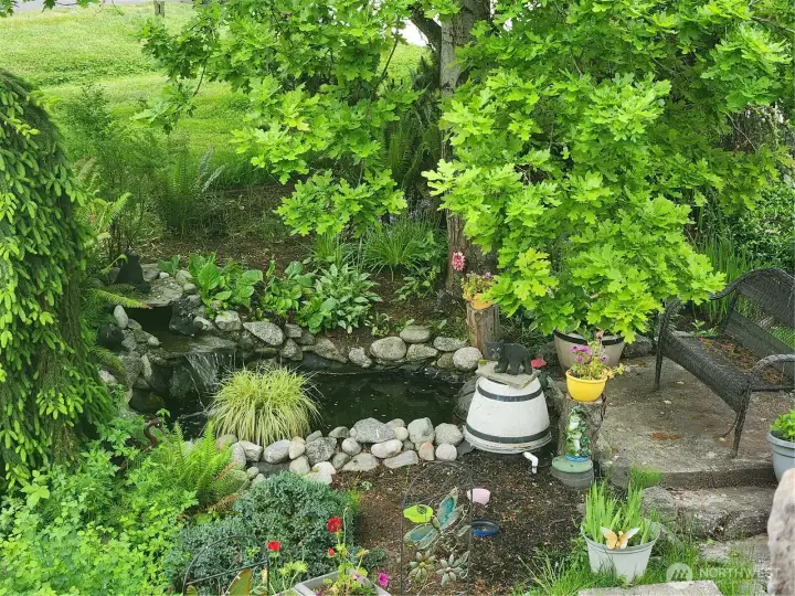 Beautiful water feature.