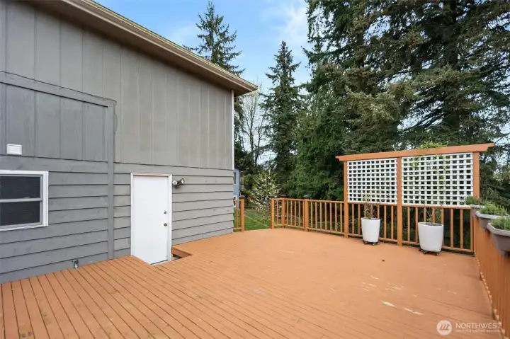 Lower portion of the back deck with hot tub hookups underneath