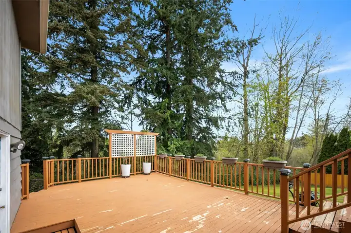 Lots of privacy with no neighbors behind the property