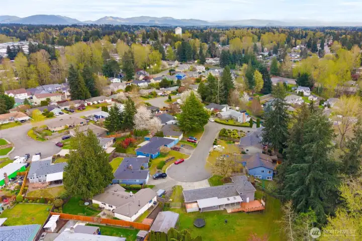 Overhead view of the home and neighborhood