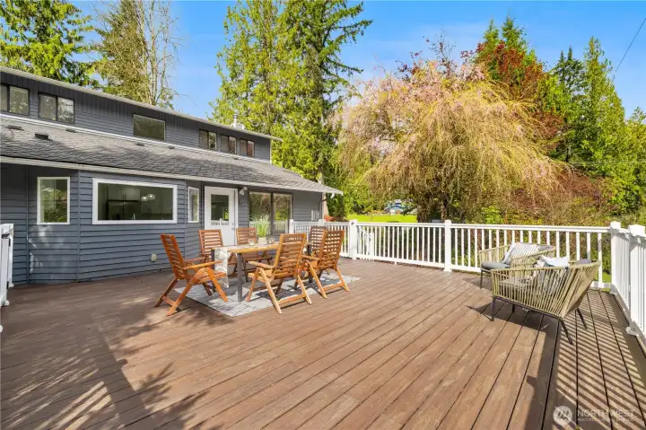Massive deck off the kitchen