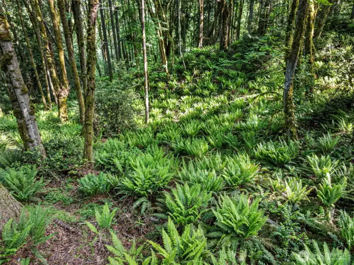 There are trails all through the acreage this home enjoys, 1.5 acres to be exact.