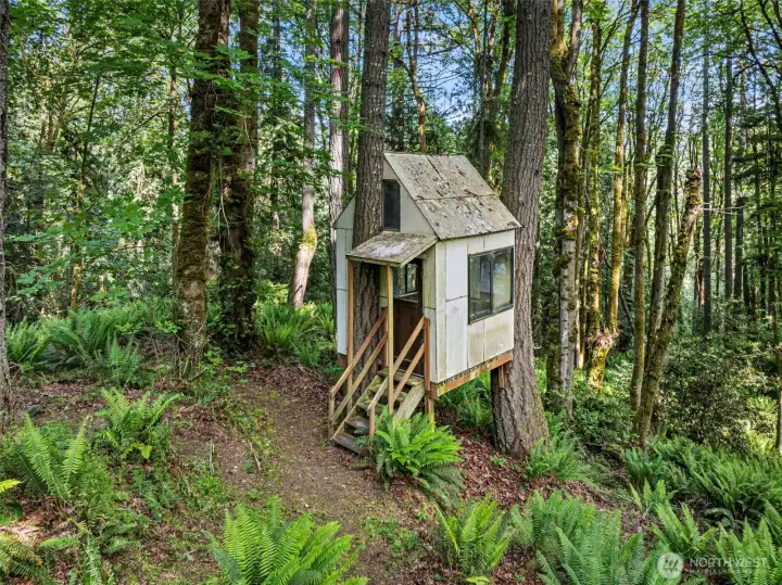 A treehouse is a great place for enjoying the outdoors.