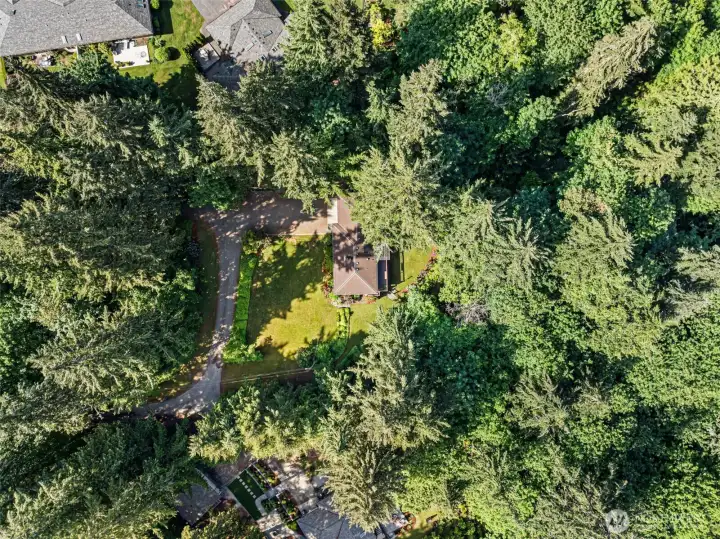 Aeriel view of this amazing 1.5 acres with trails through the forest.