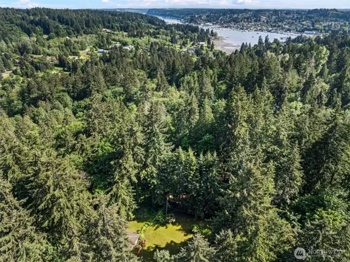 And just off Peacock Hill not far from downtown Gig Harbor.