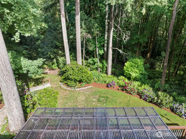 Drone view of the back yard and covered deck.