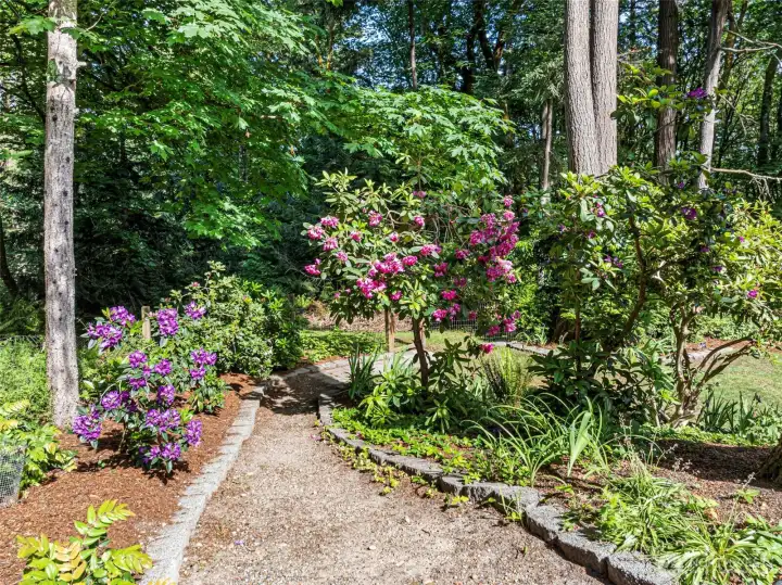 Easy maintenance landscaping too.