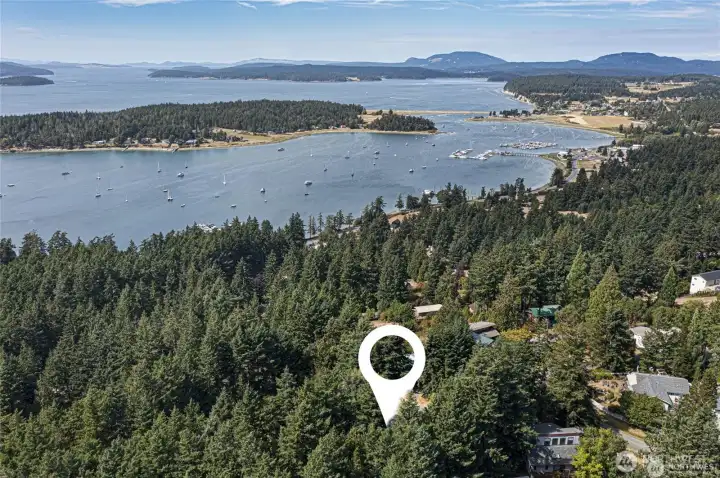 Enjoy an ideal Lopez Island location tucked among the trees, just moments from Fisherman Bay, shared dock access, village dining, shopping, and island amenities. Enjoy an ideal Lopez Island location tucked among the trees, just moments from Fisherman Bay, shared dock access, village dining, shopping, and island amenities.