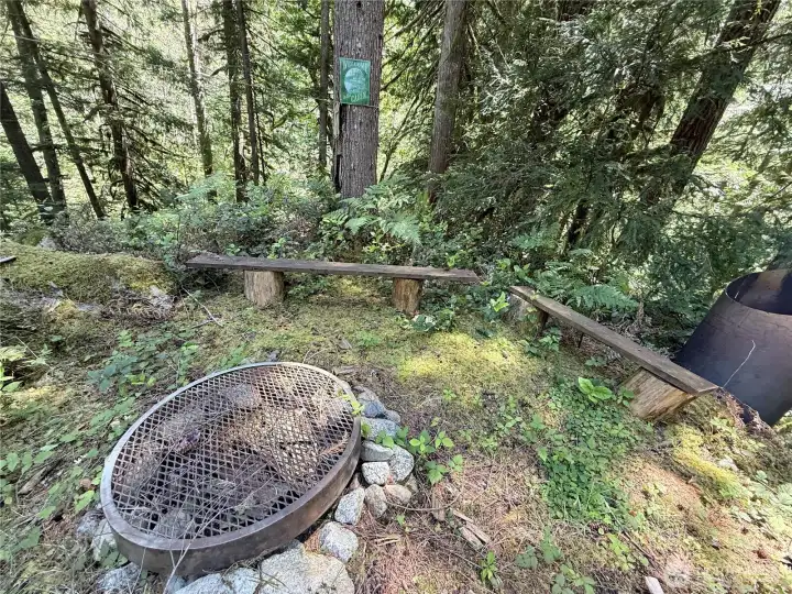 fire pit for roasting smores