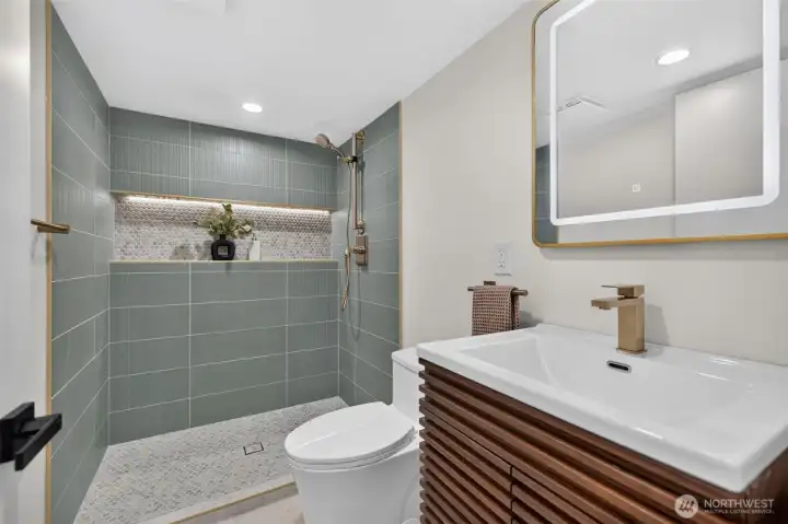 Lower Level Bathroom