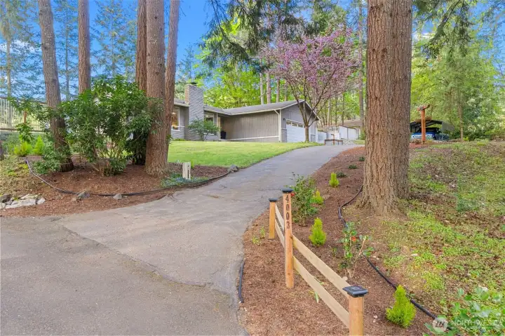 Paved Driveway and mature Douglas Firs welcome you home