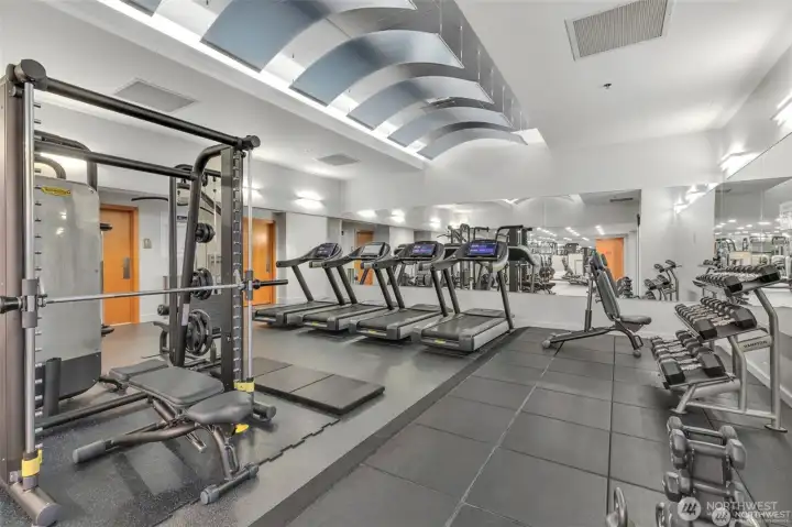 Gym Gym