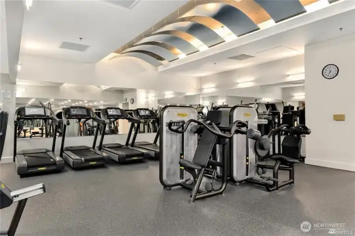 Gym Gym