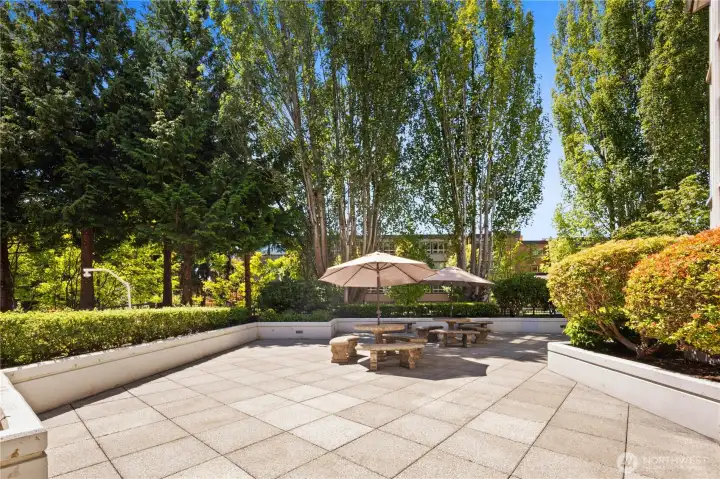 Shared courtyard with landscaped seating and outdoor gathering space. Shared courtyard with landscaped seating and outdoor gathering space.