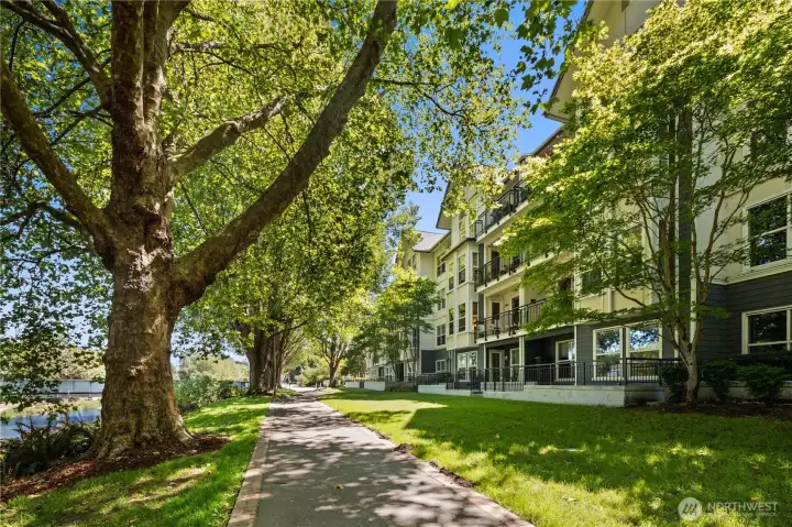 Tree-lined condominium grounds with mature landscaping and sidewalks. Tree-lined condominium grounds with mature landscaping and sidewalks.