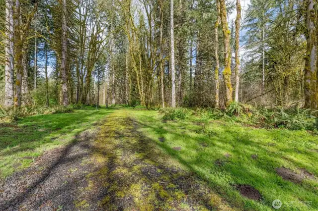 Peaceful driveway to future home.