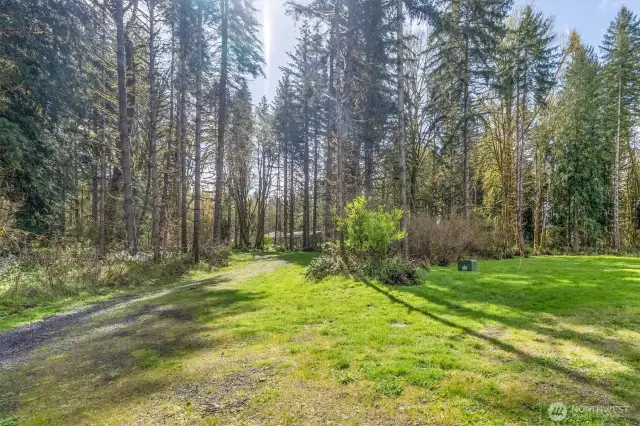 Looking back to driveway as you travel to the boat launch.