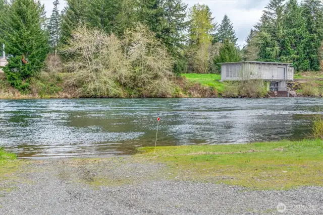 You have arrived at one of the best spots on the Cowlitz River.
