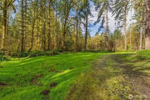 Gravel area to the left covered by grass for pullout area.